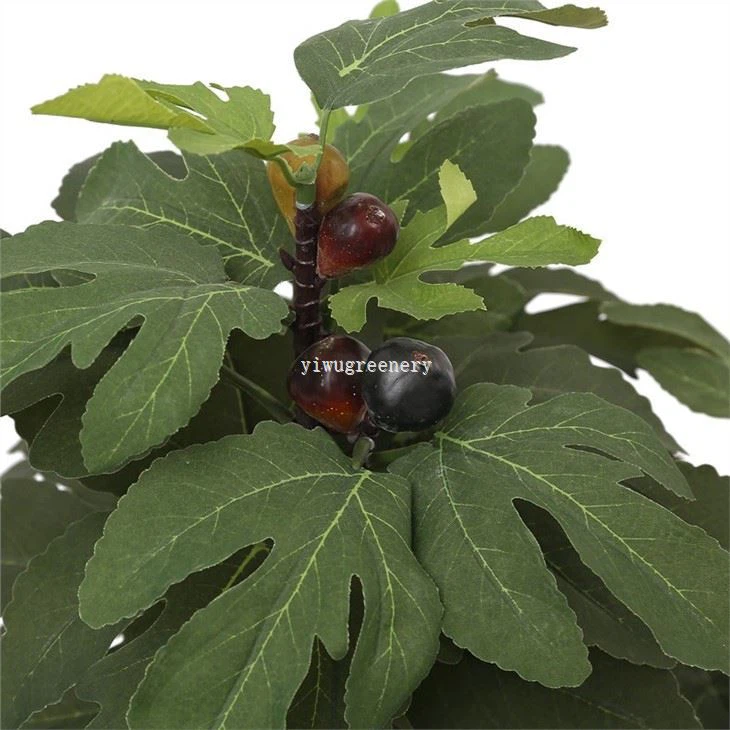 real fiddle leaf fig tree