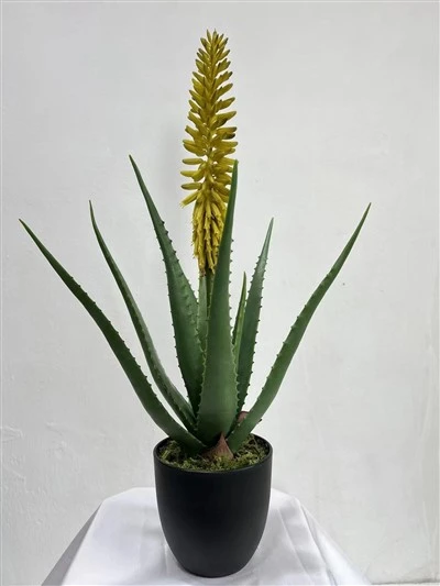 Bonsai artificial de flores de aloe